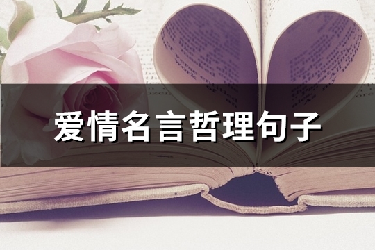 爱情名言哲理句子(精选48句)