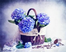 给客户的春节短信：饺子包含