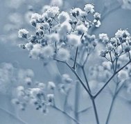 抖音上最流行生日祝福 (精选