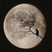 人生不易且行且珍惜说说(精选