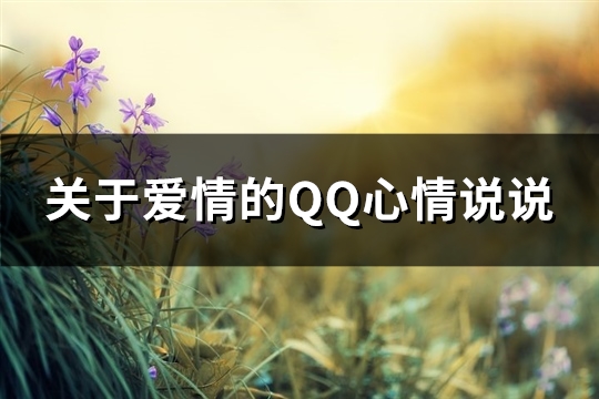 关于爱情的QQ心情说说(精选69句)
