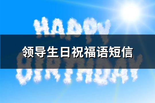 领导生日祝福语短信(精选84句)
