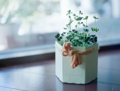 含宇的名言佳句：终有偃旗息