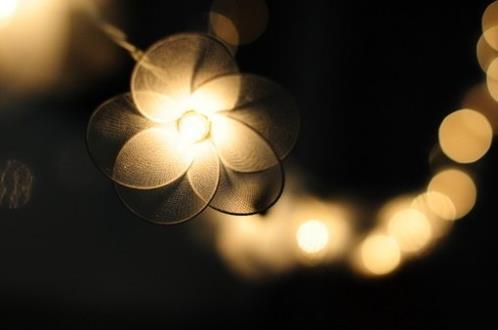 撩妹句子古诗(精选24句)