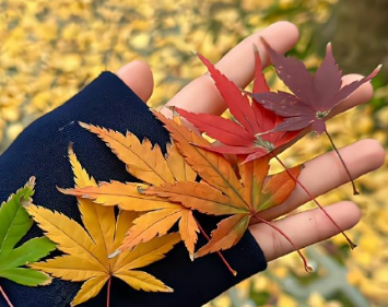让自己在意的事情越来越少的说说 不在乎的东西(精选22句)