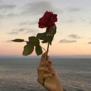 伤心的句子爱情：你一再刺痛