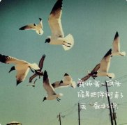 爱情哲言：单身是冬天的雪花