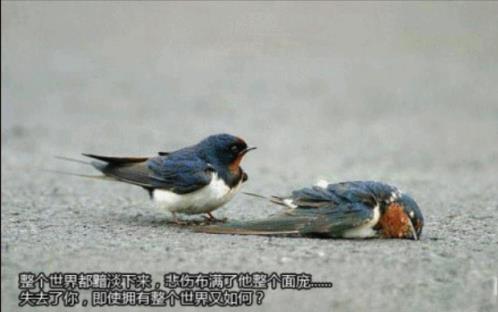 加班说说心情励志短语 (精选29句)