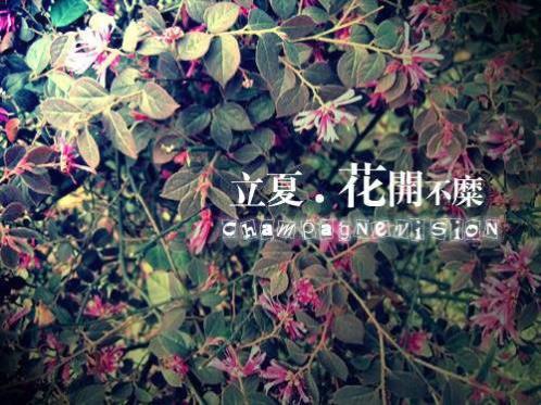 说说心情不好致自己的(精选15句)