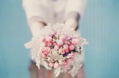 圣诞节恶搞祝福语：愿淡淡的