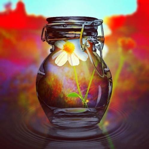 待人处世的名言警句：随即被别人当面戳穿…(精选17句)