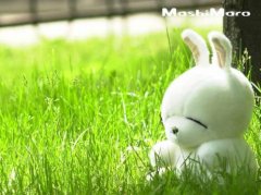 腊八节祝福语短信息2024年