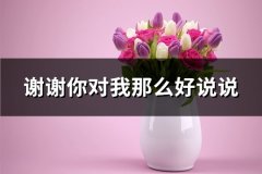 谢谢你对我那么好说说(精选