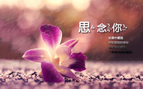 美好的爱情句子 (精选44句)