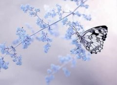 因为有你我就满足歌词 (精选