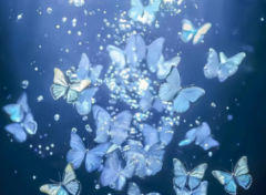 满怀希望就会所向披靡的说说