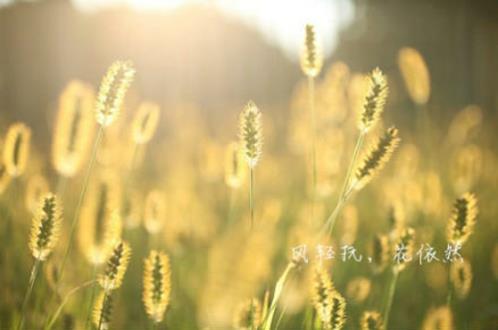 很生气却又很平静的句子 (精选18句)
