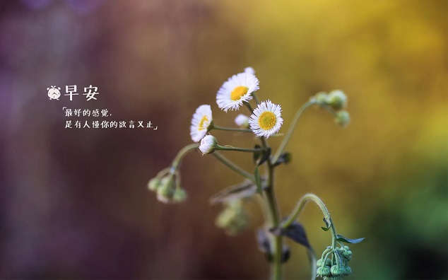 那些暖心治愈的早安文案(精选37句)