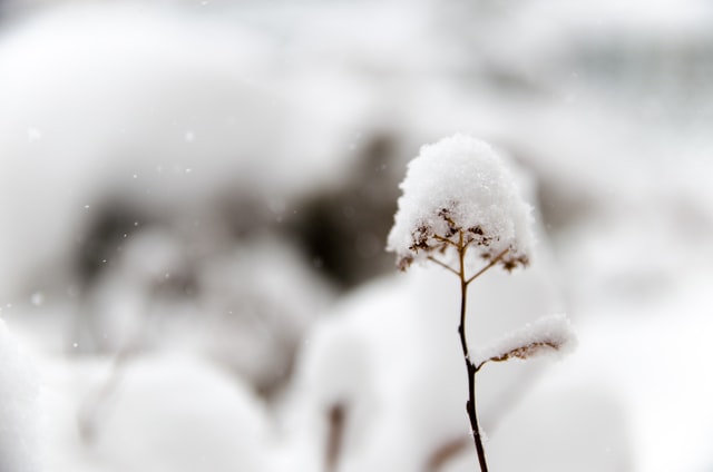 下雪天温暖的文案句子(精选26句)