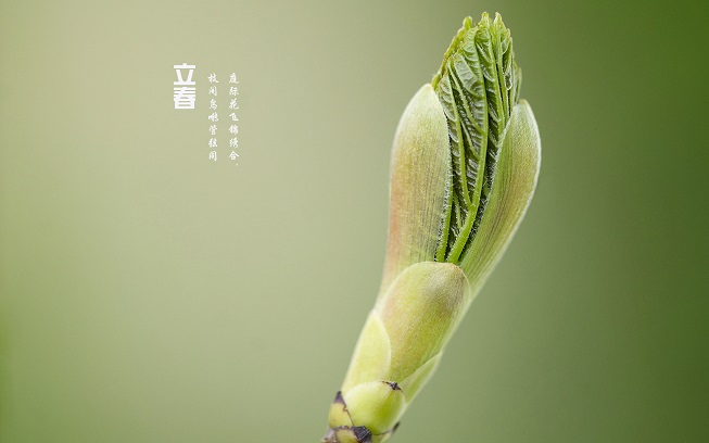 立春发朋友圈的文案短句(精选52句)
