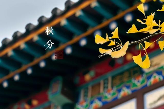 关于秋分的文案合集(精选75句)