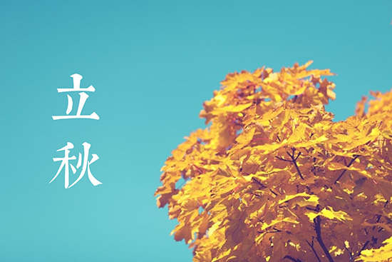关于立秋的文案合集(精选75句)