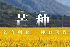 100个满是收获的芒种文案短句