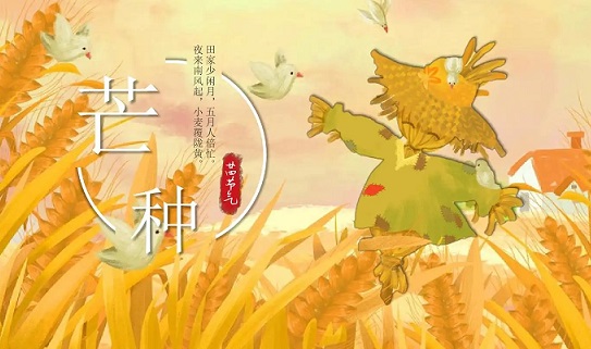 文艺唯美的芒种句子(精选54句)