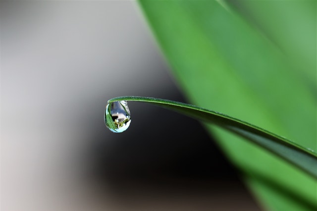 那些美好的谷雨文案短句(精选41句)