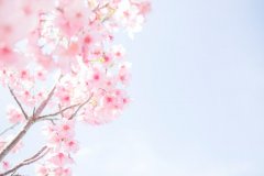 温柔暖心的春分文案(精选48句