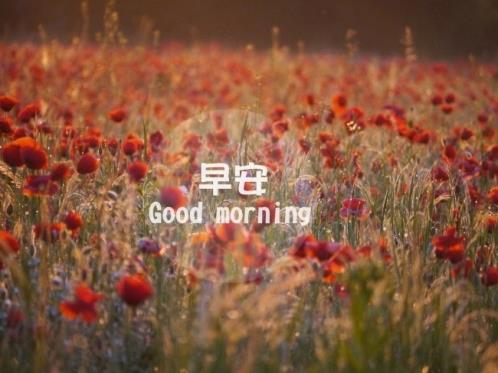 红包数字的含义祝福语 三个数字代表的祝福语(精选14句)