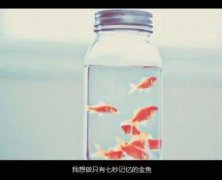 宿舍文明标语的绘画 文明校园