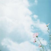情侣一男一女各一张可爱 情侣