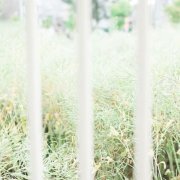 彼岸花的经典语录(精选17句)