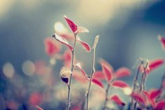 平常心人生领悟句子：平常心