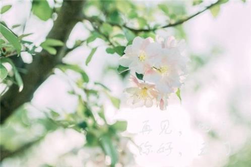 心里很乱很迷茫的说说 形容迷茫伤心失落的说说(精选14句)