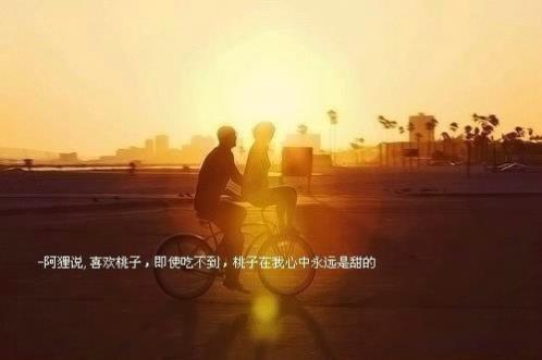 七夕节搞笑段子(精选12句)