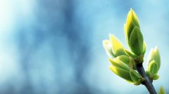 朋友之间友谊的经典句子(精选