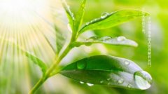自己新公司开业祝福语：相信