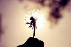 形容青春短暂的句子说说心情