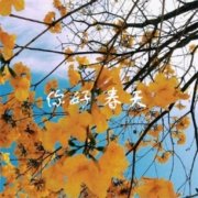 领导过年给我发春节短信 给老