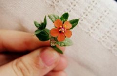 幽默搞笑的感恩节祝福语(精选