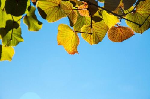让人流泪心碎的心情短语(精选35句)