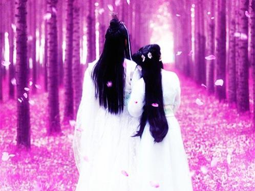 2024年人生感悟的句子 