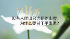 鼓励努力奋斗的名言 (精选14句