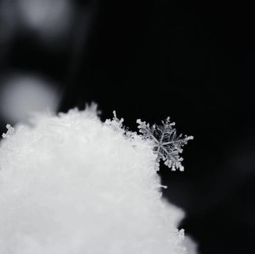 非常非常搞笑的歇后语 最幽默歇后语(精选21句)