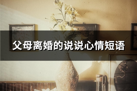 父母离婚的说说心情短语(精选24句)