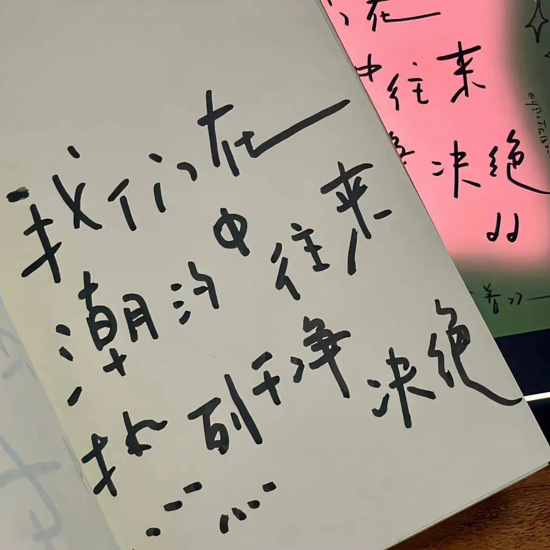 天花板级别的释怀文案(精选
