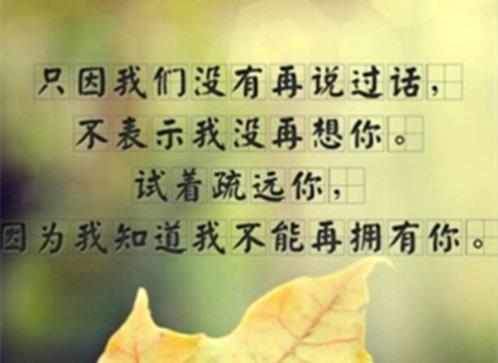 女人没人心疼的句子(精选27句