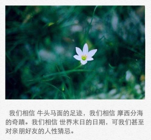 led显示屏元旦贺词发什么(精选